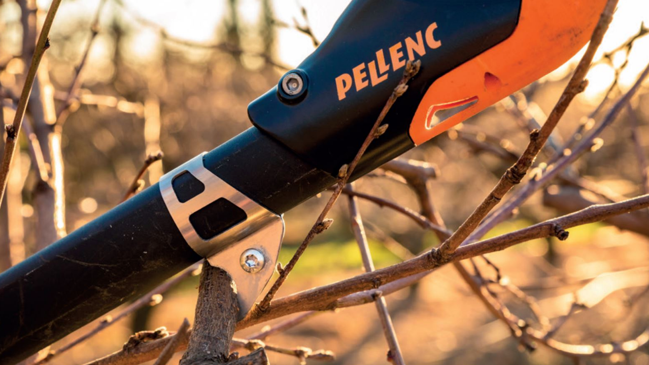 Prunion P150 5ft Pole Extension